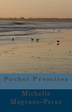 portada Pocket Promises (en Inglés)