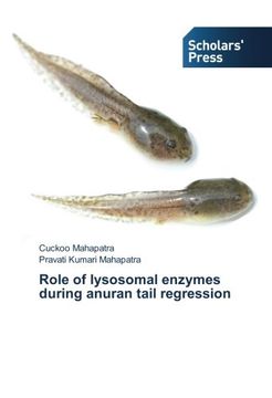 portada Role of lysosomal enzymes during anuran tail regression
