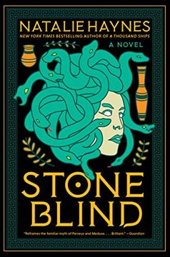 portada Stone Blind: A Novel (in English)