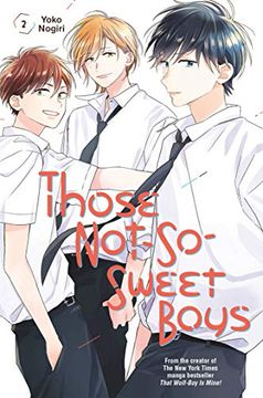 portada Those Not-So-Sweet Boys 2 (en Inglés)
