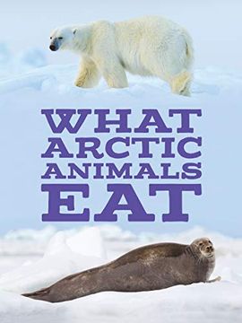 portada What Arctic Animals Eat: English Edition (Nunavummi) 