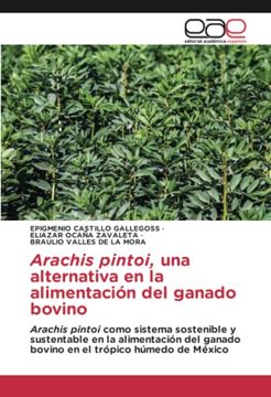 portada Arachis Pintoi, una Alternativa en la Alimentación del Ganado Bovino: Arachis Pintoi Como Sistema Sostenible y Sustentable en la Alimentación del Ganado Bovino en el Trópico Húmedo de México