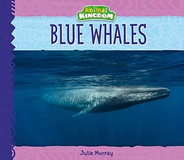 portada Blue Whales (Animal Kingdom) (in English)