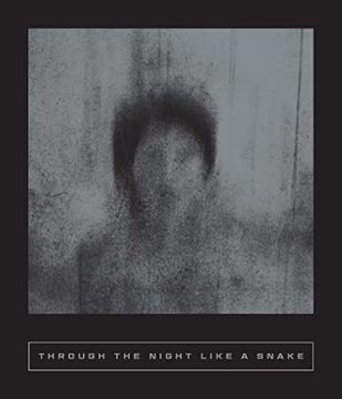 portada Through the Night Like a Snake: Latin American Horror Stories (in English)