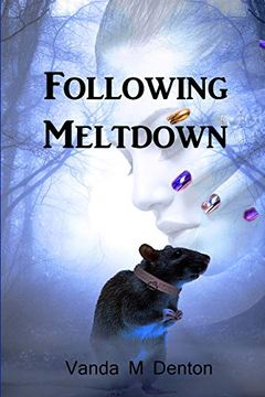 portada Following Meltdown (en Inglés)