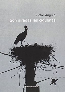 portada SON AIRADAS LAS CIGÜEÑAS (in Spanish)
