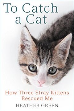 portada To Catch a Cat: How Three Stray Kittens Rescued me (in English)