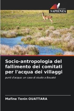 portada Socio-antropologia del fallimento dei comitati per l'acqua dei villaggi (en Italiano)