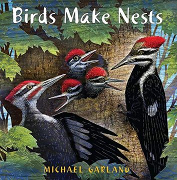 portada Birds Make Nests 