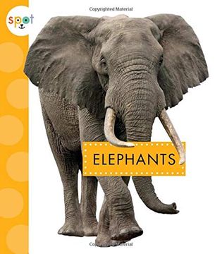 portada Elephants (en Inglés)