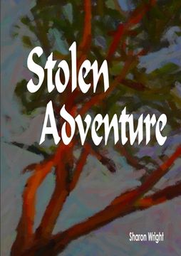portada Stolen Adventure (in English)