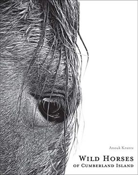 portada Wild Horses of Cumberland Island: Anouk Masson Krantz (en Inglés)
