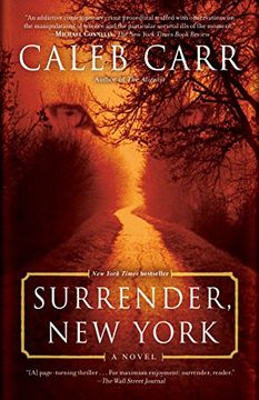 portada Surrender, new York: A Novel (in English)