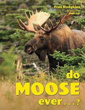 portada Do Moose Ever . . .? (en Inglés)