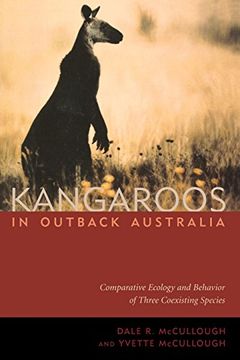 portada Kangaroos in Outback Australia (en Inglés)