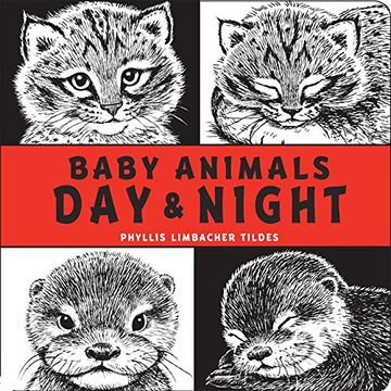 portada Baby Animals day & Night (en Inglés)