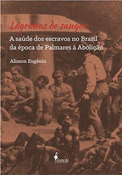 portada Lagrimas de Sangue: A Saude dos Escravos no Brasil da Epoca de Palmares a Abolicao (en Portugués)