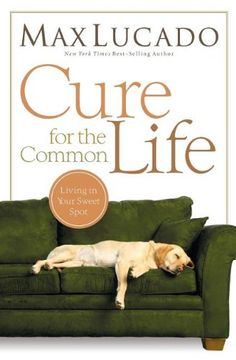 portada Cure for the Common Life (en Inglés)