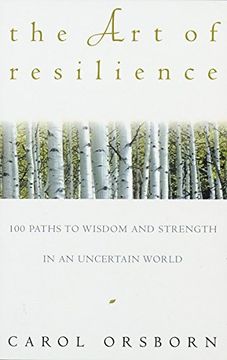 portada The art of Resilience (en Inglés)