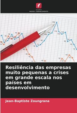 portada Resiliência das Empresas Muito Pequenas a Crises em Grande Escala nos Países em Desenvolvimento (in Portuguese)