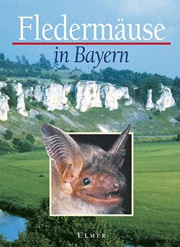 portada Fledermäuse in Bayern (en Alemán)