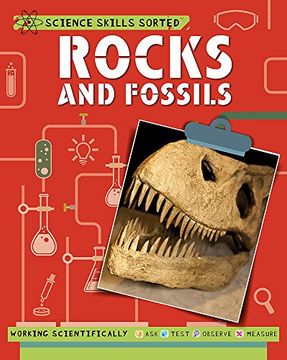 portada Rocks and Fossils (Science Skills Sorted! ) 