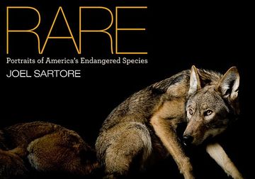 portada Rare: Portraits of America's Endangered Species (en Inglés)