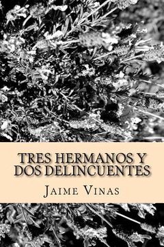 portada Tres Hermanos y dos Delincuentes (in Spanish)