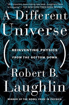 portada A Different Universe: Reinventing Physics From the Bottom Down (in English)