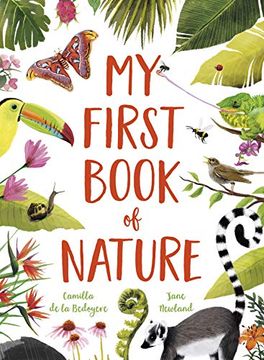 portada My First Book of Nature (en Inglés)