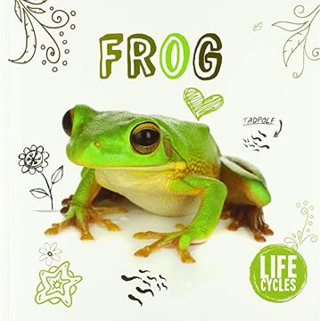 portada Frog (Life Cycles) (en Inglés)
