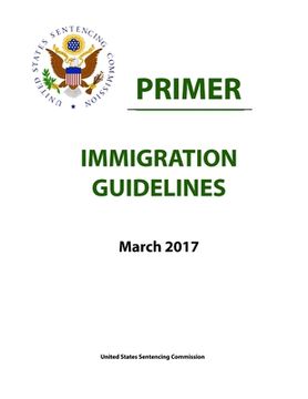 portada Immigration Guidelines - Primer (en Inglés)
