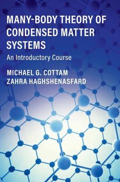 portada Many-Body Theory of Condensed Matter Systems: An Introductory Course (en Inglés)