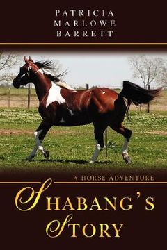portada shabang's story: a horse adventure (en Inglés)