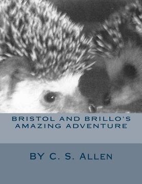 portada Bristol and Brillo's Amazing Adventure (en Inglés)