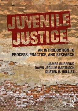 portada Juvenile Justice: An Introduction to Process, Practice, and Research