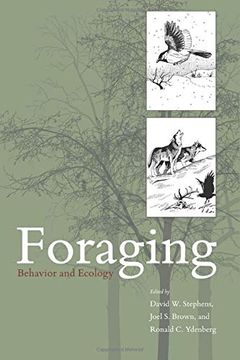 portada Foraging: Behavior and Ecology (in English)