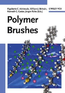 portada polymer brushes (in English)