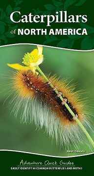 portada Caterpillars of North America (in English)