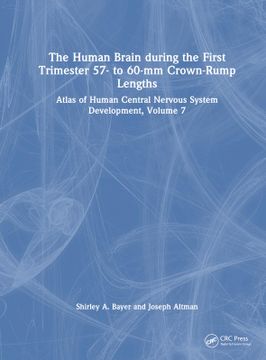 portada Human Brain During the First Trimester 57- to 60-Mm Crown-Rump Lengths (in English)