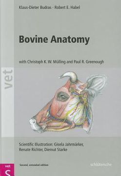 portada bovine anatomy (en Alemán)