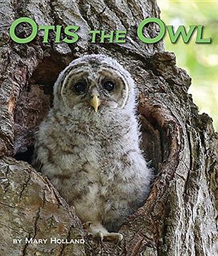 Otis the Owl (en Inglés)