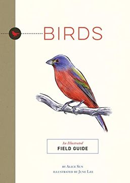 portada Birds: An Illustrated Field Guide (Illustrated Field Guides) (en Inglés)