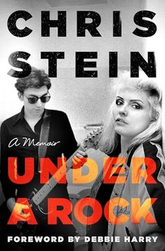 portada Under a Rock: A Memoir (en Inglés)