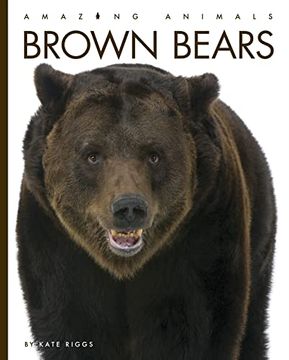 portada Brown Bears (Amazing Animals) (en Inglés)