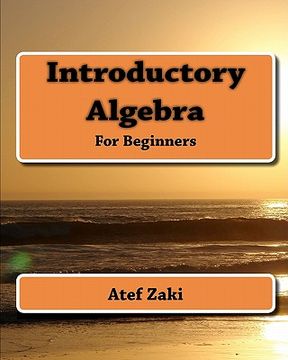portada introductory algebra (en Inglés)
