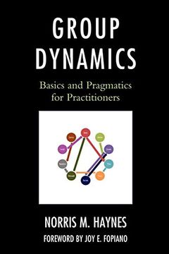 portada Group Dynamics: Basics and Pragmatics for Practitioners (in English)