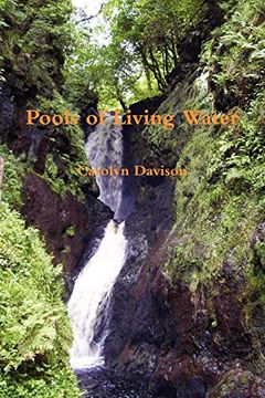 portada Pools of Living Water (en Chino)