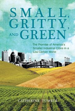 portada Small, Gritty, and Green - the Promise of America`S Smaller Industrial Cities in a Low-Carbon World (Urban and Industrial Environments) (en Inglés)