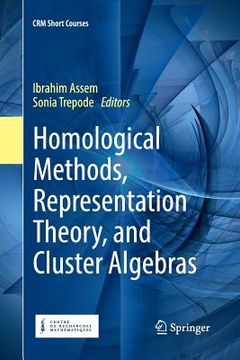 portada Homological Methods, Representation Theory, and Cluster Algebras (en Inglés)